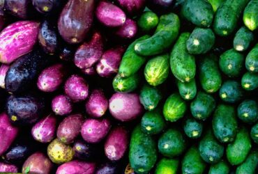 לתבל את הבית: מדריך לגידול ירקות ותבלינים ביתיים