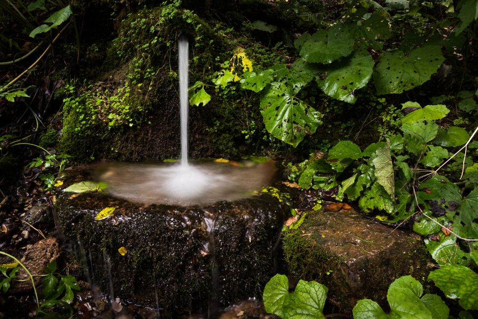 אלמנט מים דקורטיבי