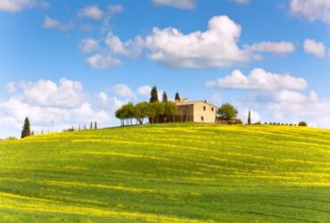 במקום לטוס לחו"ל, מביאים אותו הביתה