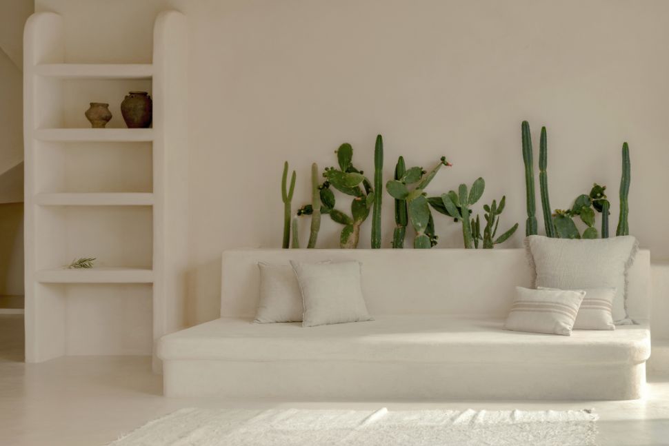 סלון בחיפוי תדלקט