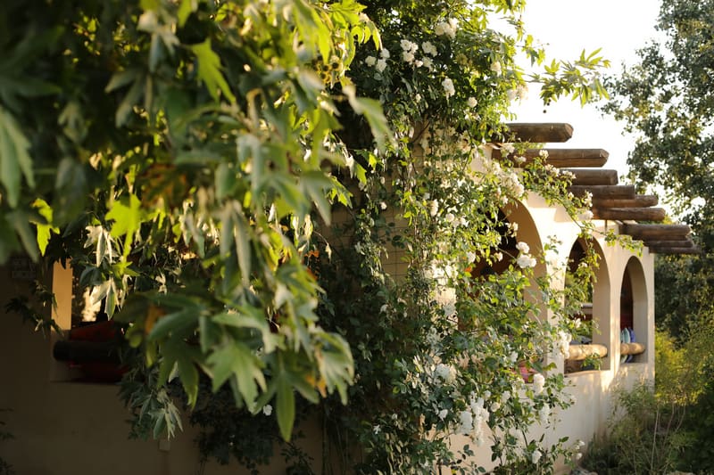 עיצוב גינה פרטית