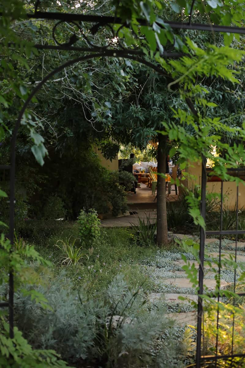 עיצוב גינה פרטית