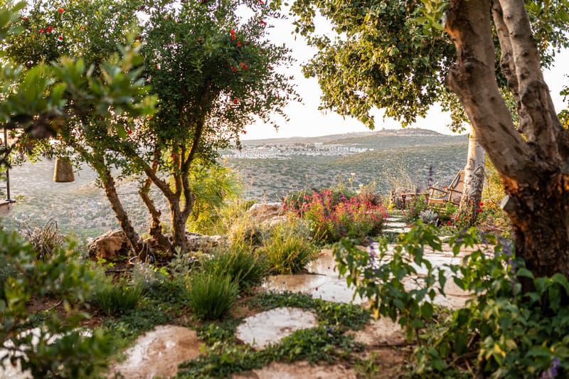 עיצוב גינה פרטית