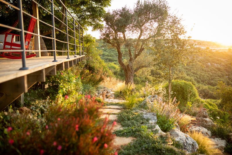 עיצוב גינה פרטית