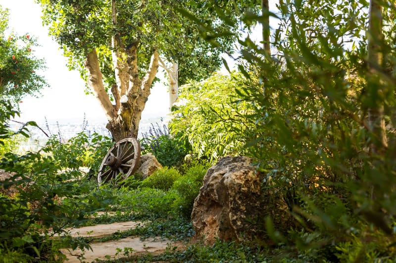 עיצוב גינה פרטית