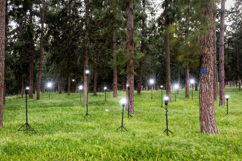 יוצר: אורי ברקת