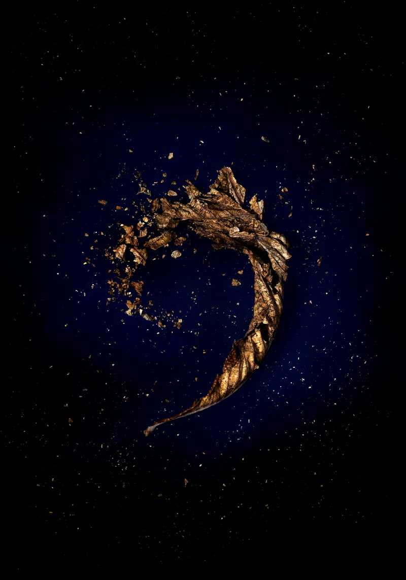 האימפריה ההונית. יוצר: עודד לברן