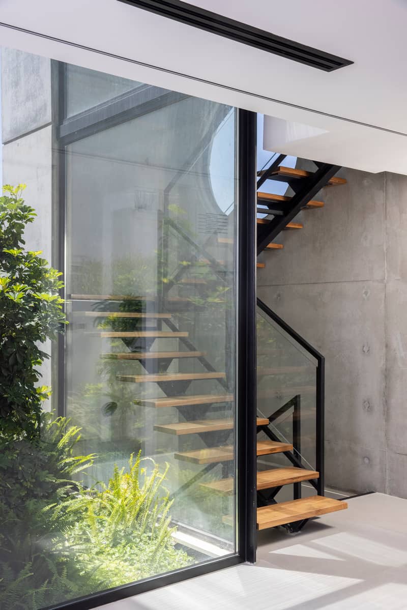 פטיו עם צמחיה