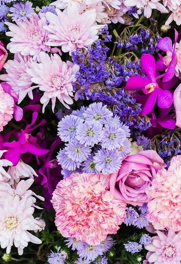 המשמעות שמאחורי עשרת הפרחים הנפוצים ביותר