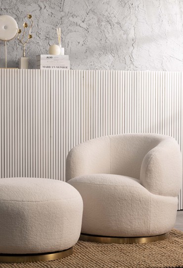 מילד ועד חתול: הפרקטיקה שתיטיב עם הסלון שלכם