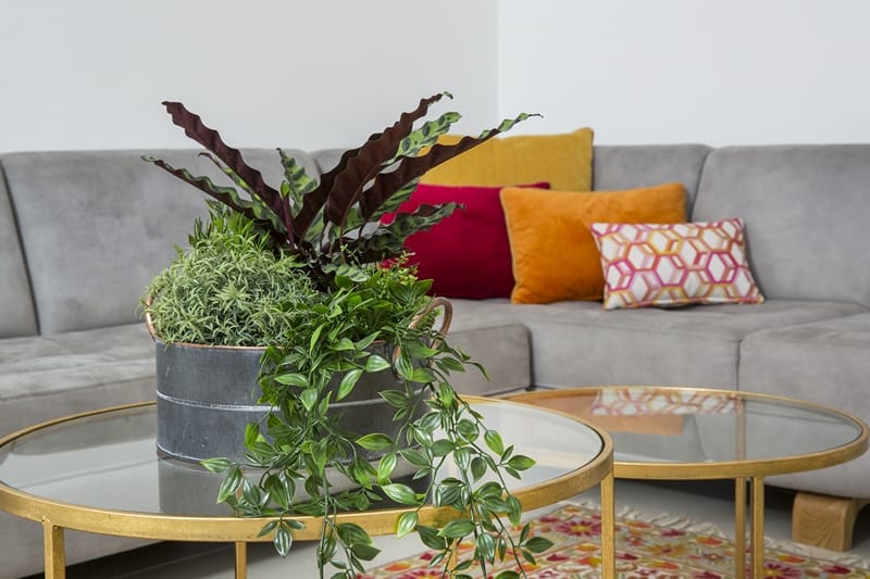 כריות בצבעי אש