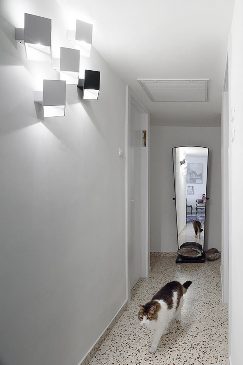 אסתי דינור עושה כבוד להולכים על ארבע