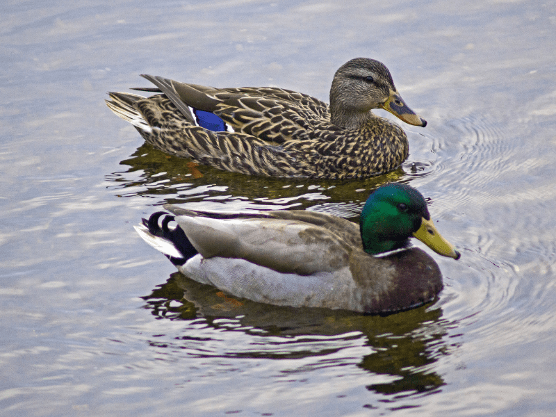 בית אחרי שיפוץ ייסודי והמקיף-חדר רחצה