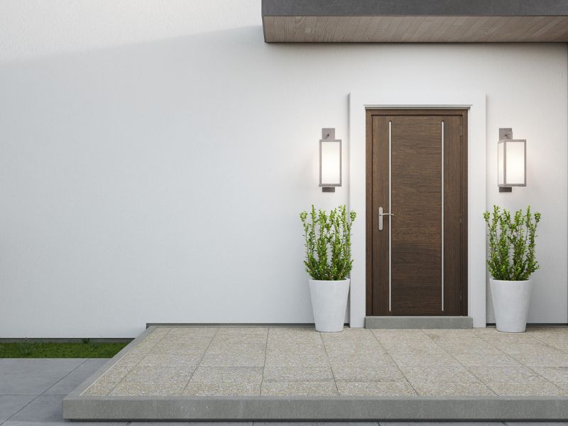 דלתות כניסה