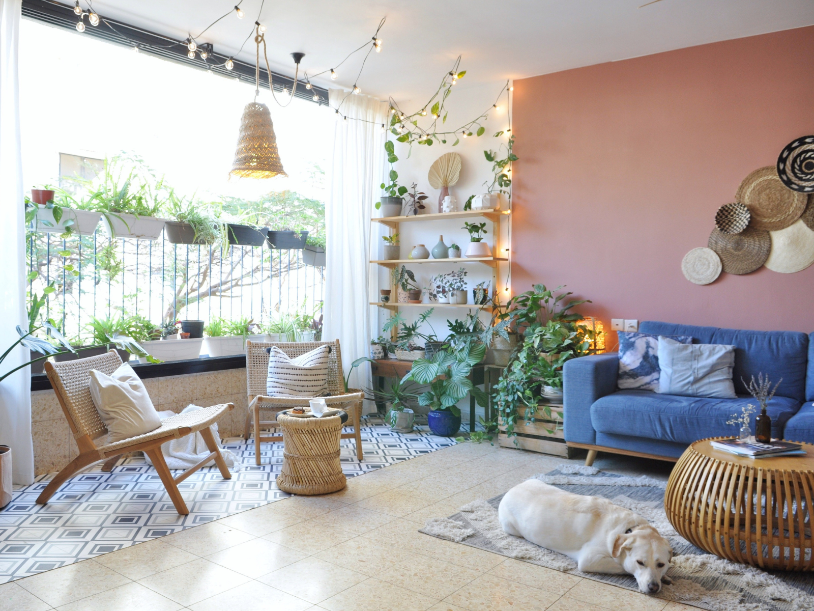 פתרון לקיר ארוך