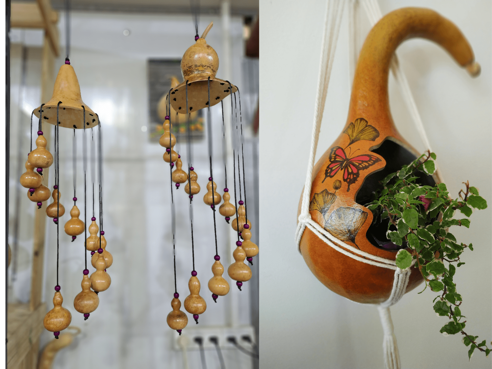 תליונים מדלעת