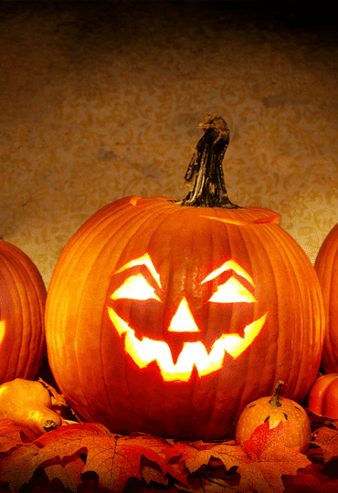 עיצוב דלעת? דברים שאולי לא ידעתם עליה ומה אפשר לעשות אתה