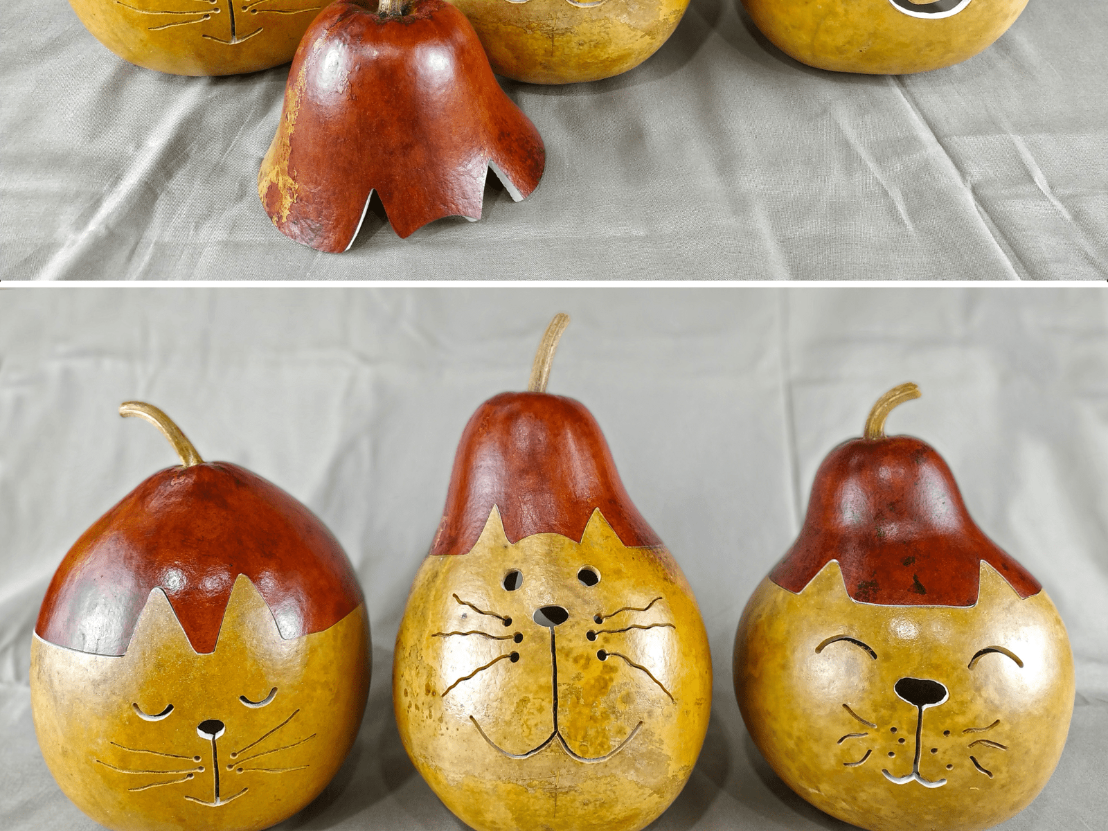 דלעת חתולים