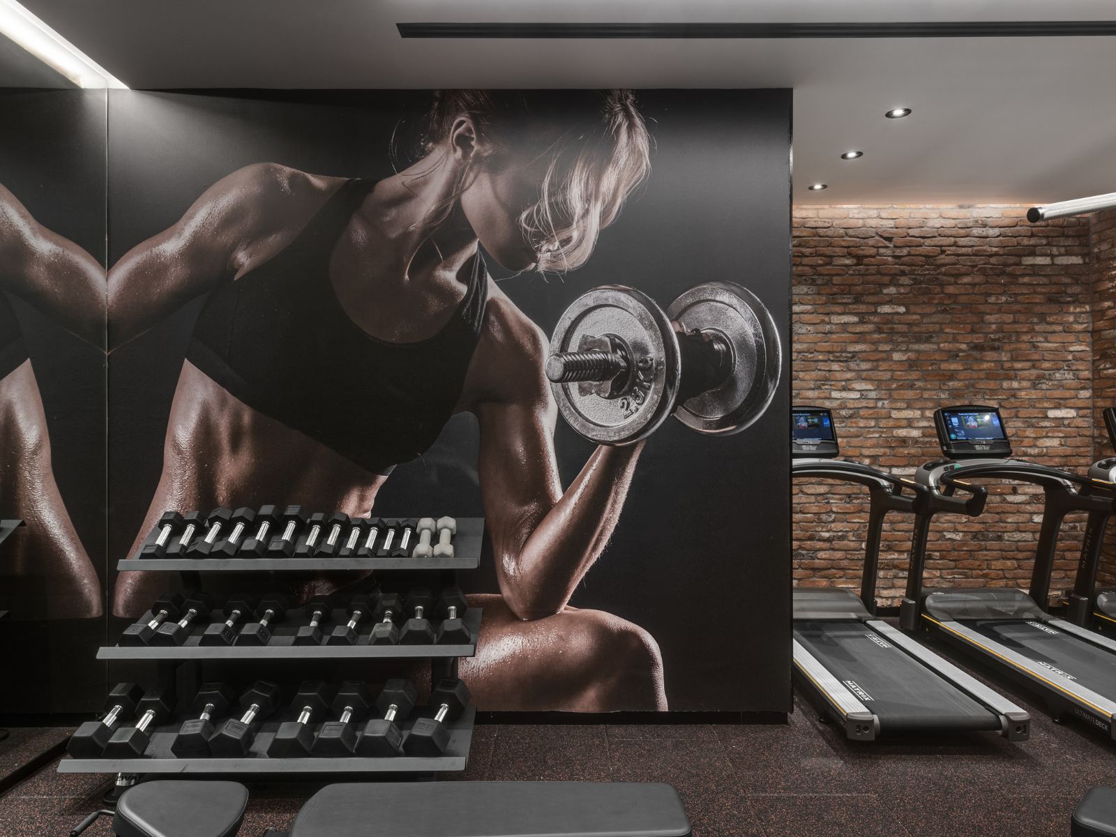 עיצוב חדר כושר בפרויקט בהשראת עולם המוזיקה עיצוב חדר כושר בפרויקט בהשראת עולם המוזיקה