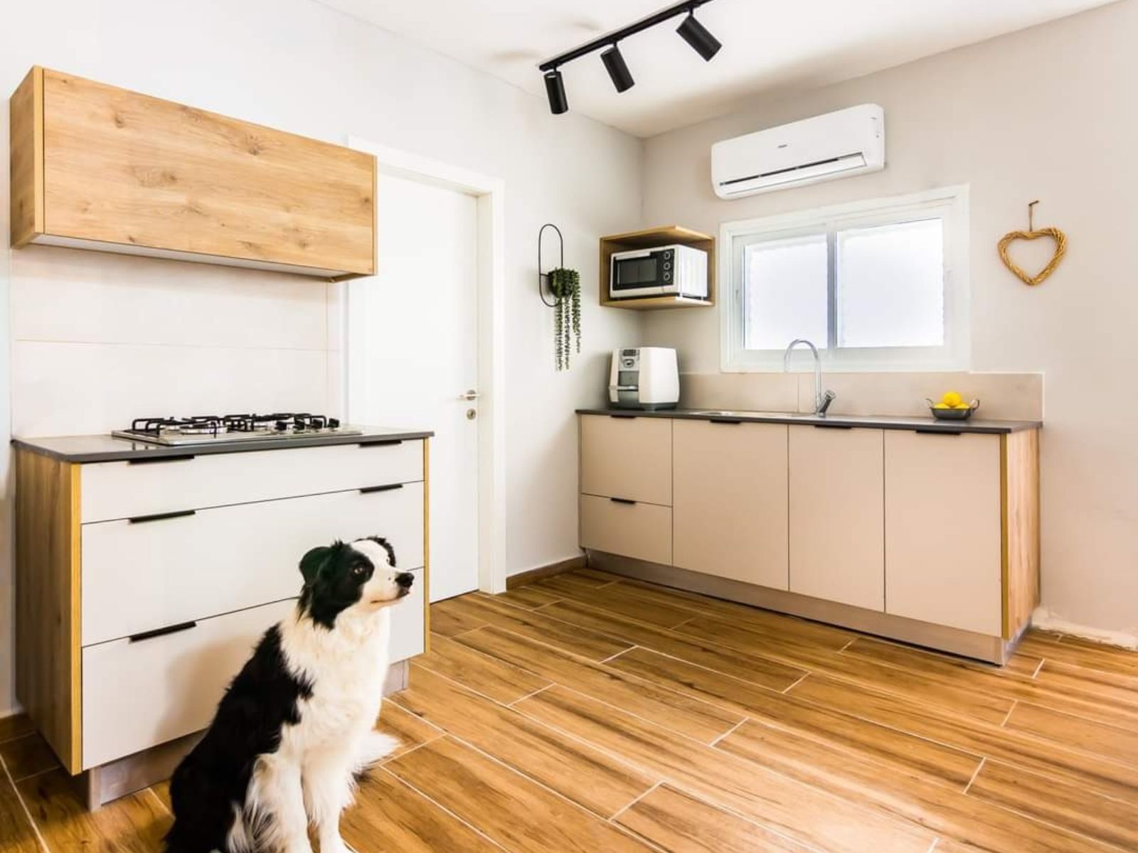 עיצוב: ענת וייסברג, צילום: רותם פריפר