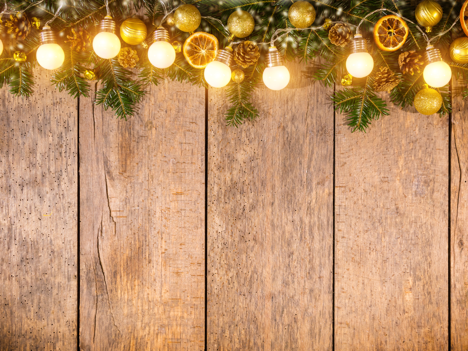 שרשרת אורות מעוצבת לגינה