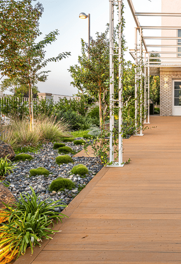 חלומם של ההורים הוגשם: בית פרטי פרקטי,חם ועל זמני