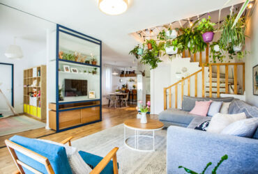 פלישת הירוקים: דרכים מקוריות לשילוב שפע ירוק בחלל