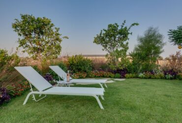 האם הגינה שלכם מוכנה לקיץ?