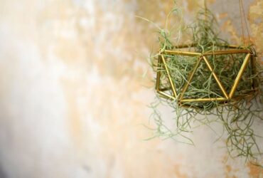 תלות מוחלטת: הדרך המעוצבת לתלות עציצים במרפסת