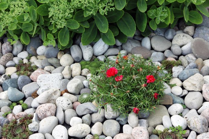 מדריך לעיצוב גינה ביתית