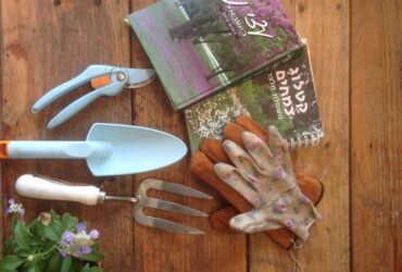 נקודת ההתחלה: הכלים לגנן המתחיל