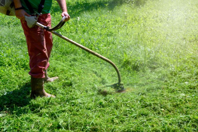 מדריך לעיצוב גינה ביתית