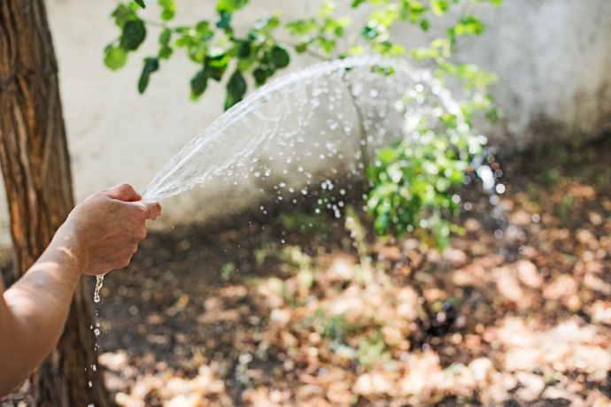 מדריך לעיצוב גינה ביתית
