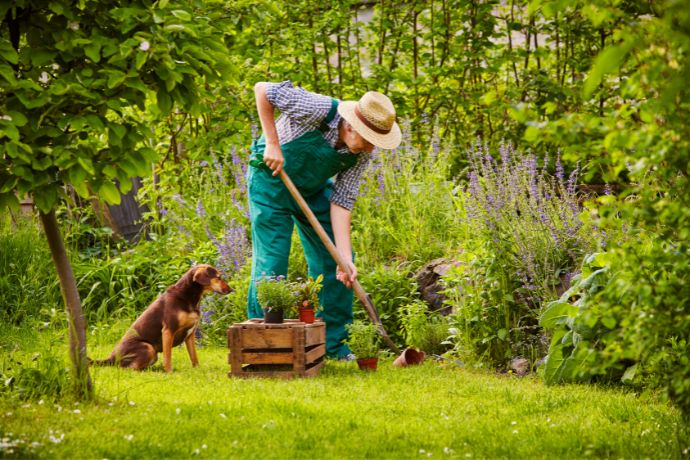 מדריך לעיצוב גינה ביתית
