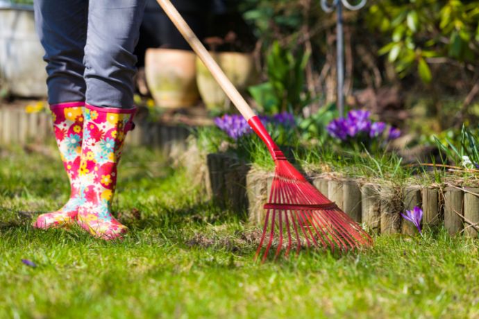 מדריך לעיצוב גינה ביתית