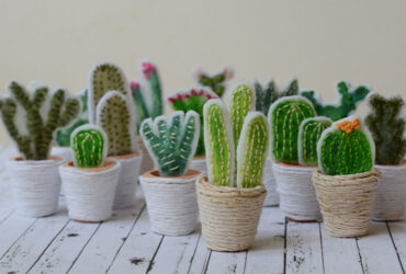 זה רק נראה כמו: הצמחים שישחררו לכם את הידיים מטיפול צמוד