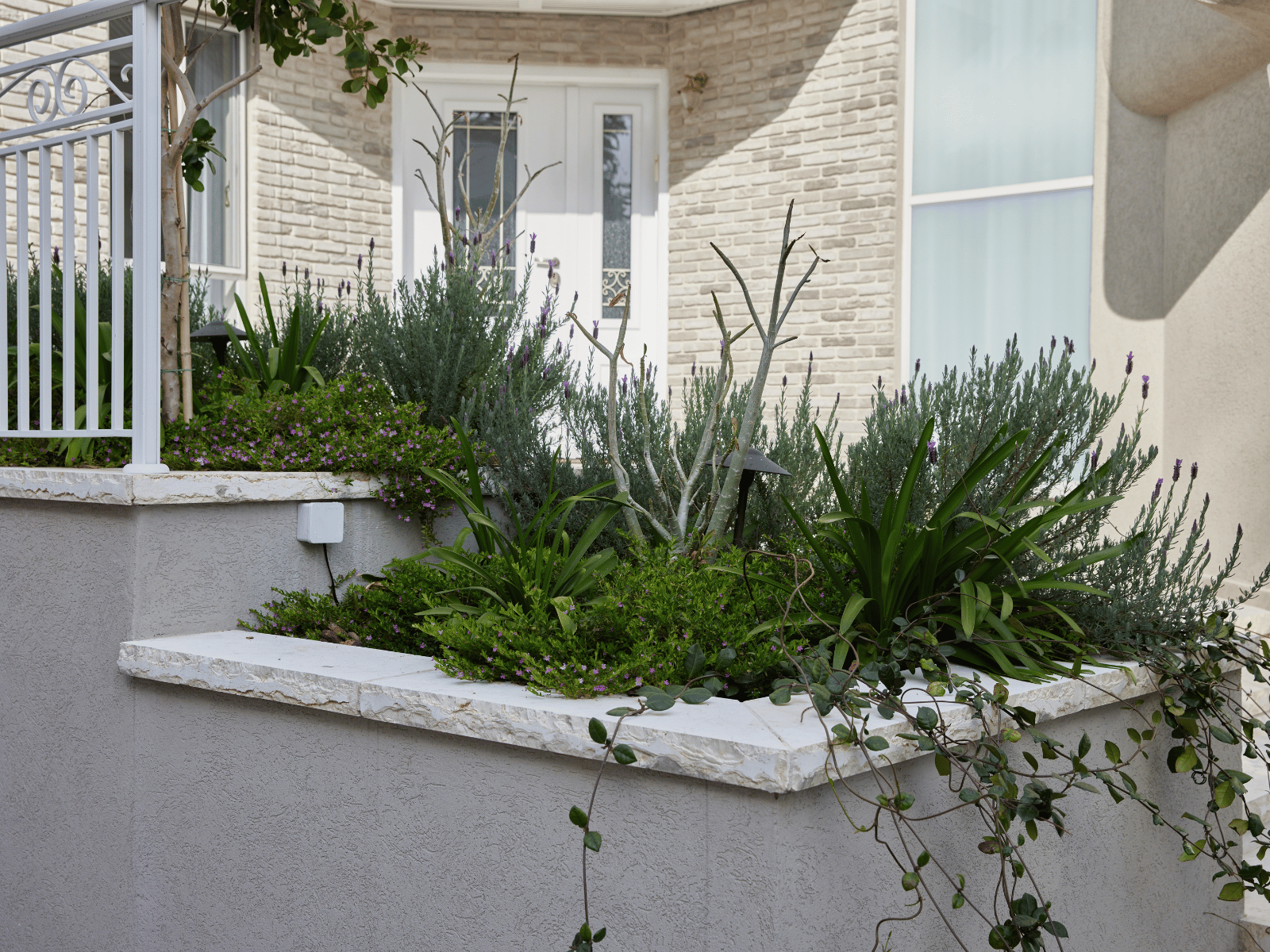 כניסה של הבית