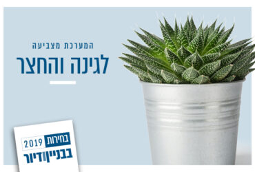 רעינות לעיצוב גינה ומרפסת