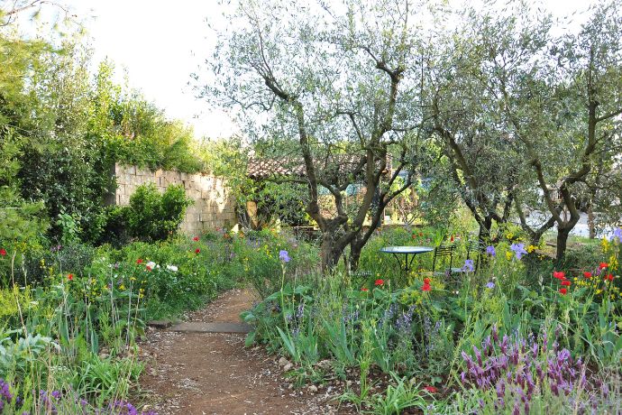 מדריך לעיצוב גינה ביתית