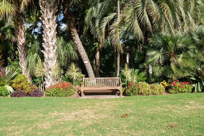 מדריך לעיצוב גינה ביתית