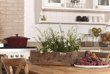 מבעד לעדשה: יופיים של צילומי הבתים