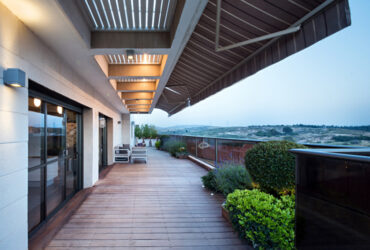 גינה: כל מה שאתם צריכים לדעת לפני שאתם מקימים גינה על הגג שלכם