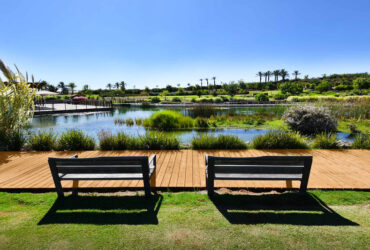 70 שנות עיצוב: החברה שהחדירה את תרבות העץ בישראל