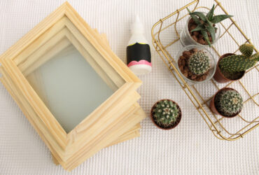 DIY: כך תכינו חממה ביתית לסוקולנטים