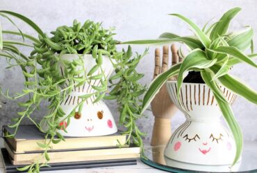 עציץ לפנים: למה שלא תעשו בעצמכם?