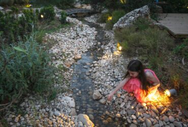 קיץ לוהט בגינה: כך נהפוך את הגינה הפרטית לפנינת חמד