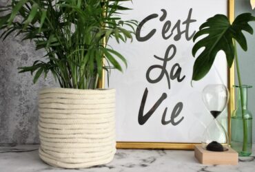 האורבן ג'ונגל כאן: עשו בעצמכם כלי דקורטיבי לעציץ!