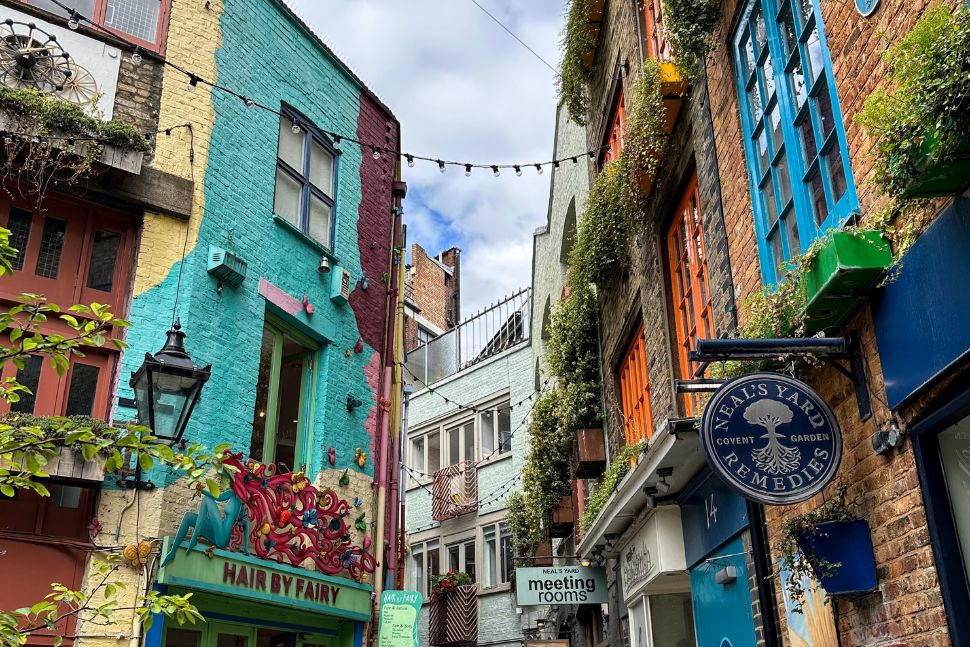 Neal's yard כל-כך קטנה וכל-כך ססגונית - החצר של ניל שוקקת צבעים וחיים