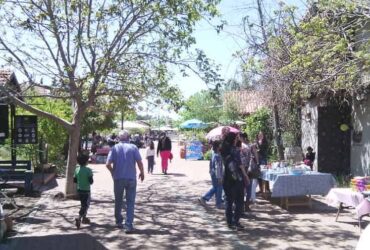 תוצרת הגולן: חנויות העיצוב והגלריות הקטנות של מושב אניעם