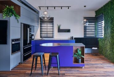 דירה שלא תדמיינו בחלומותיכם הסגולים ביותר